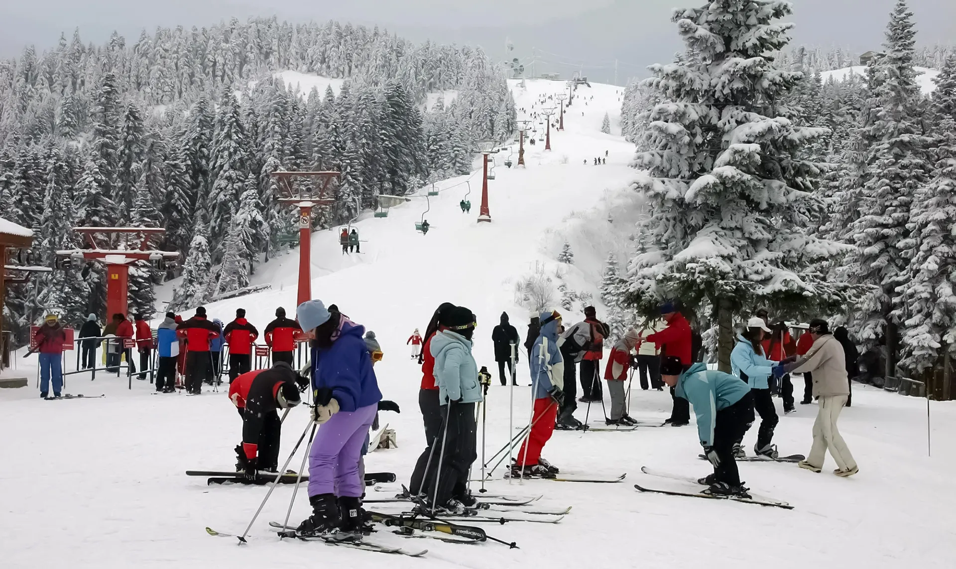 Ilgaz Dağı Kayak Merkezi